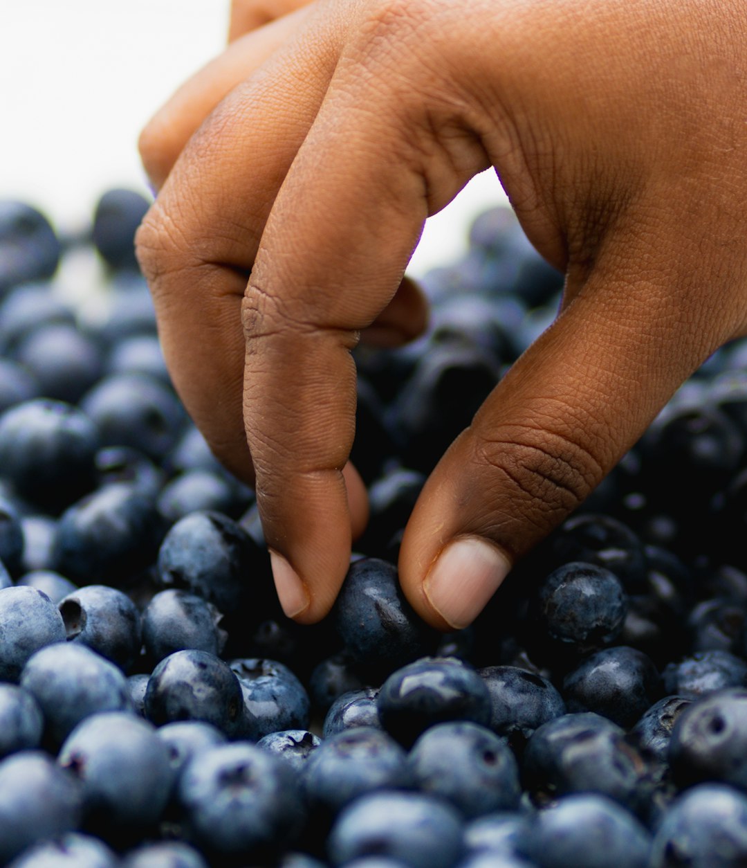 a-close-up-of-a-person-picking-blueberries-from-a-pile-3kgpl3qdqeg